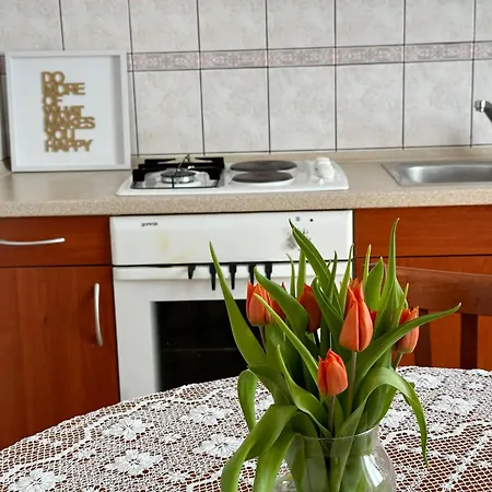 Sunny Hill * Ilirska Bistrica