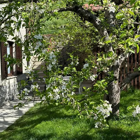 Sunny Hill Apartment Ilirska Bistrica